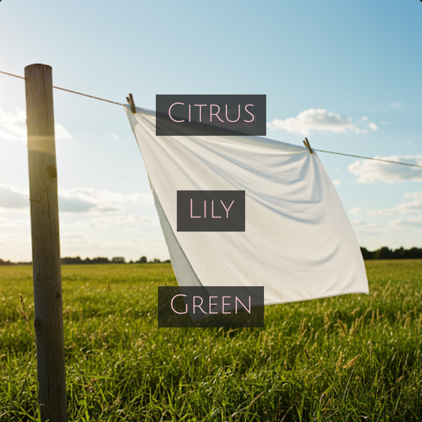 SPRING BREEZE (Bronze Tin)