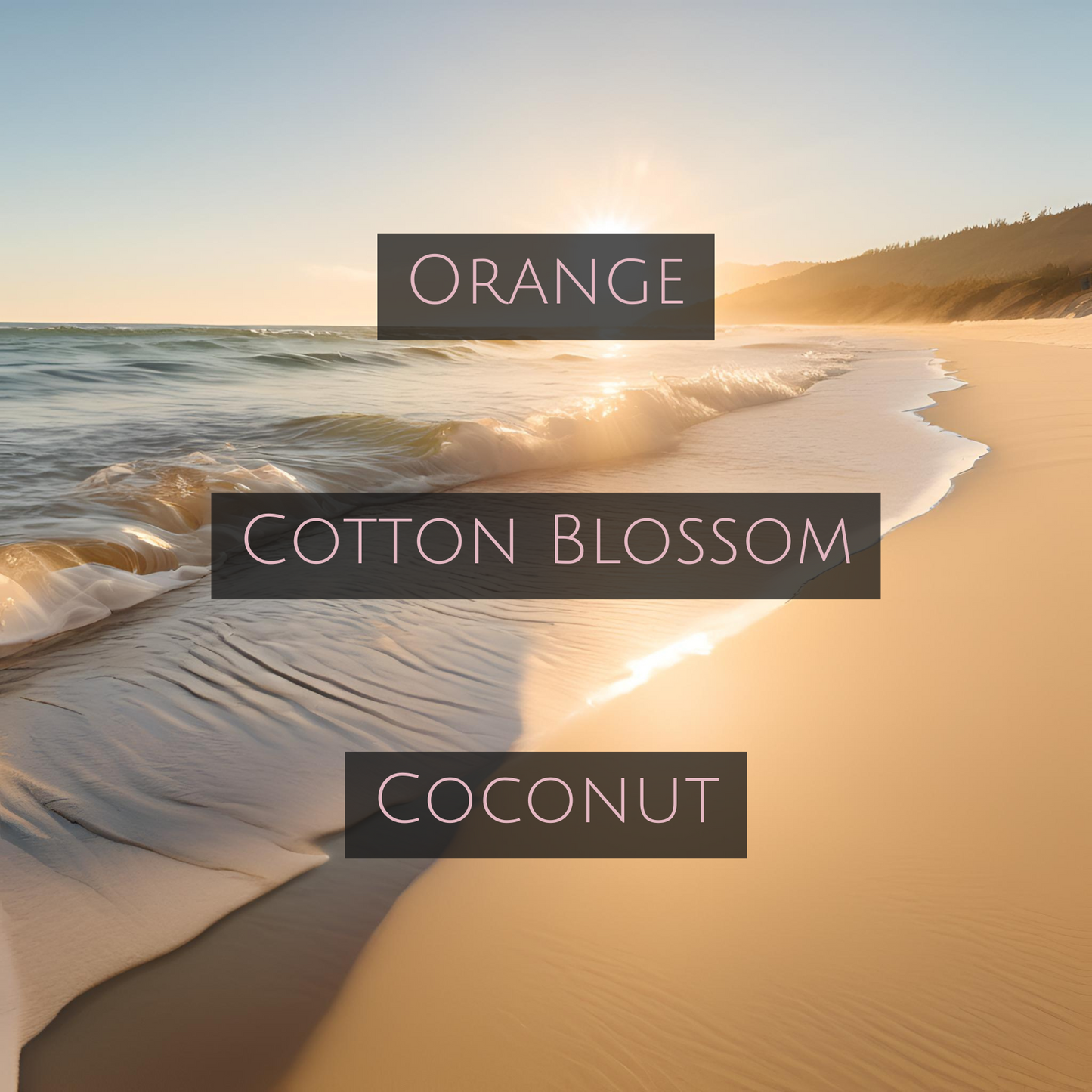 SUNSHINE & SAND (Room Spray)