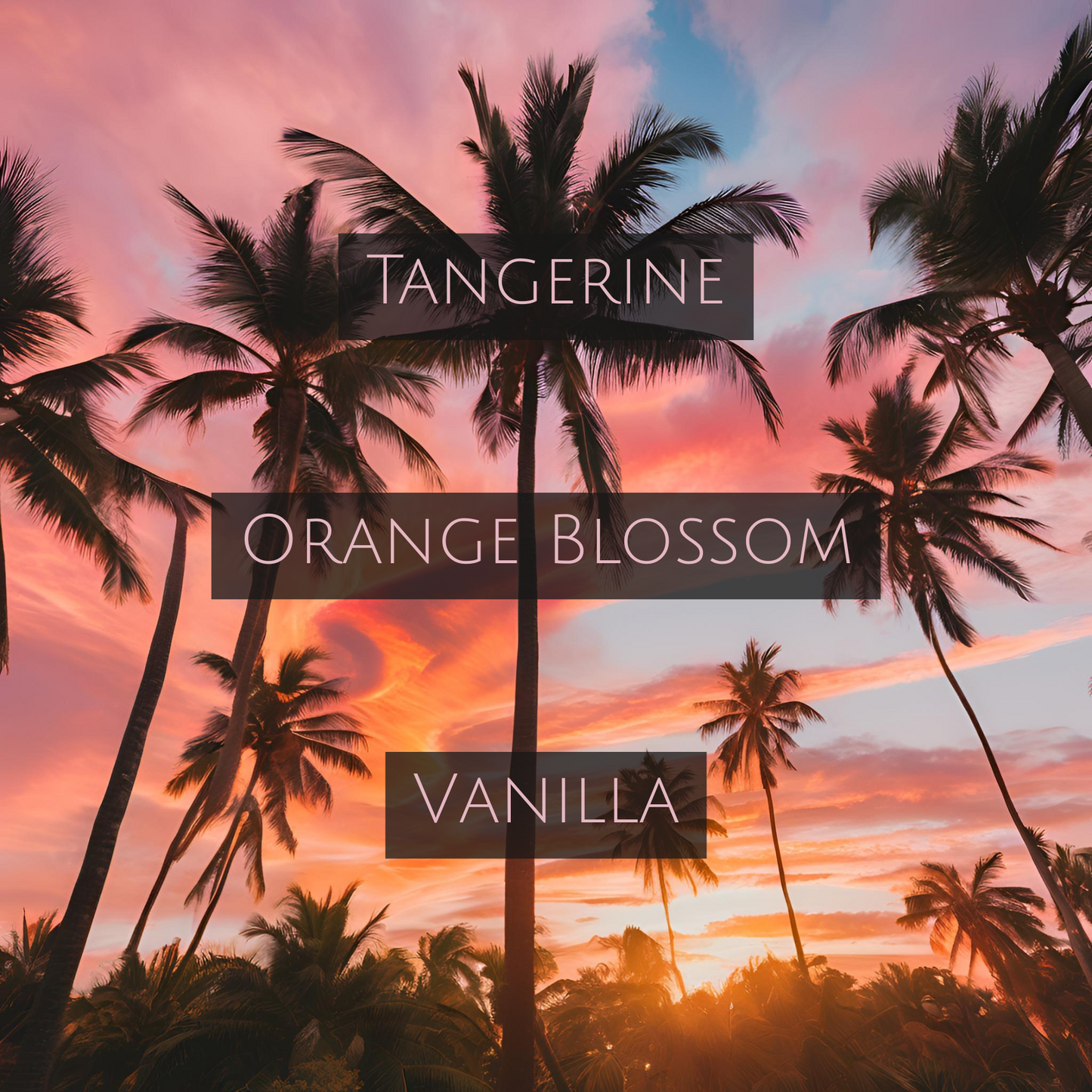 SUMMERTIME VIBES (Bronze Tin)