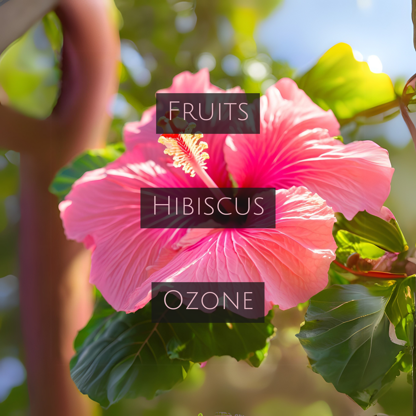 HAWAIIAN HIBISCUS (Room Spray)
