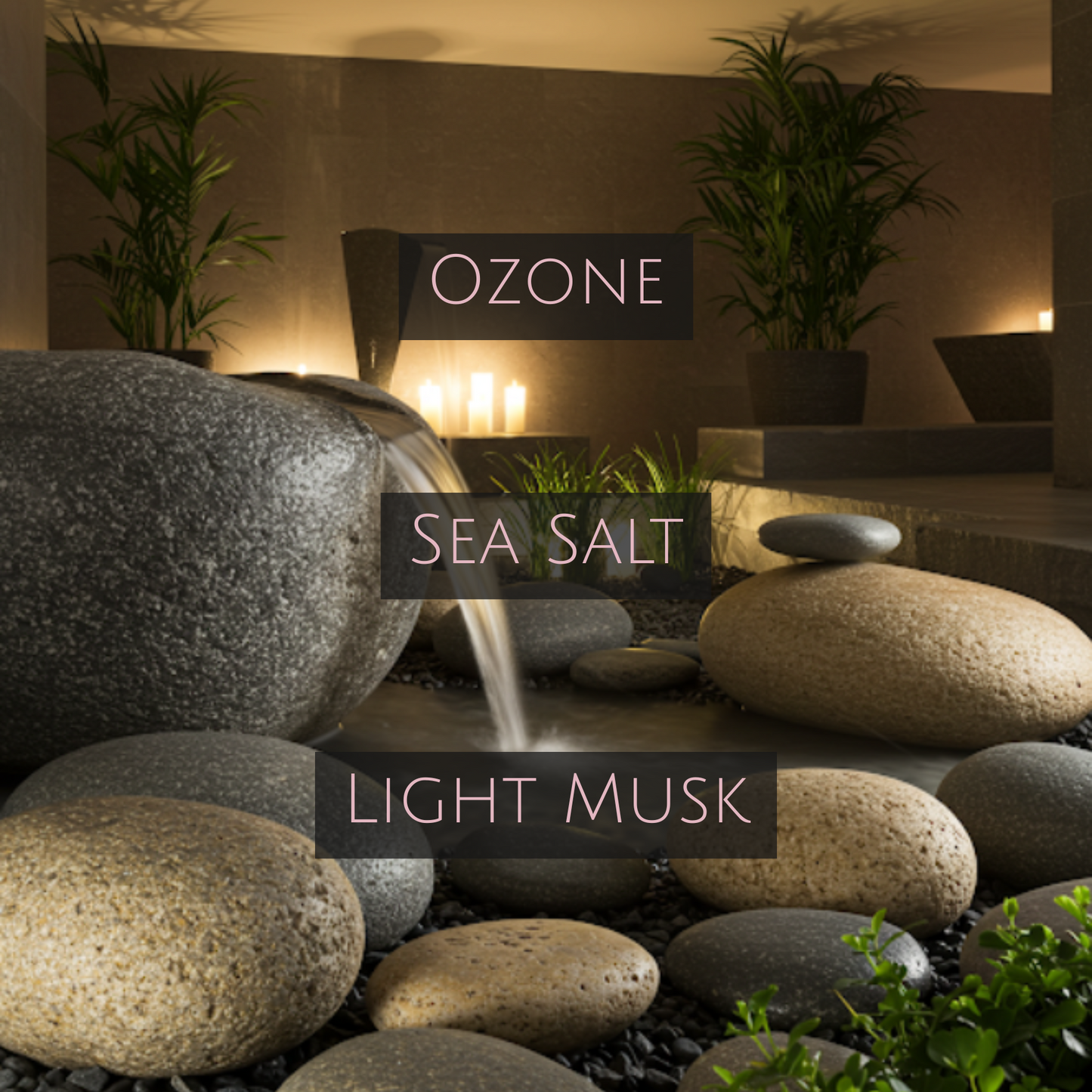 NAMASTE (Bronze Tin)