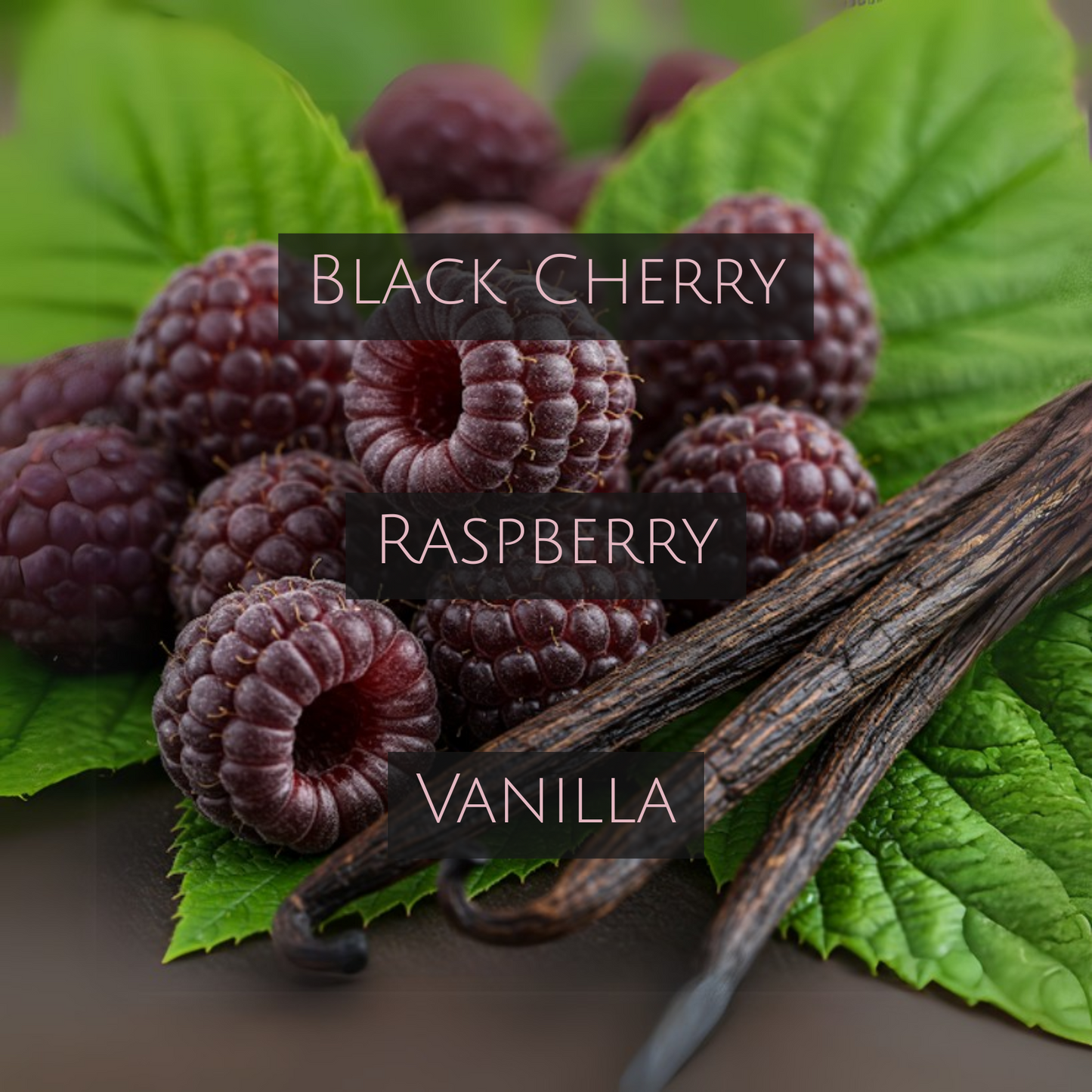 BLACK RASPBERRY VANILLA (Black Tin)