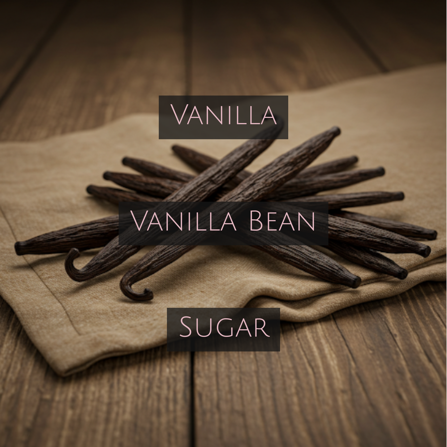 VANILLA VANILLA (Bronze Tin)