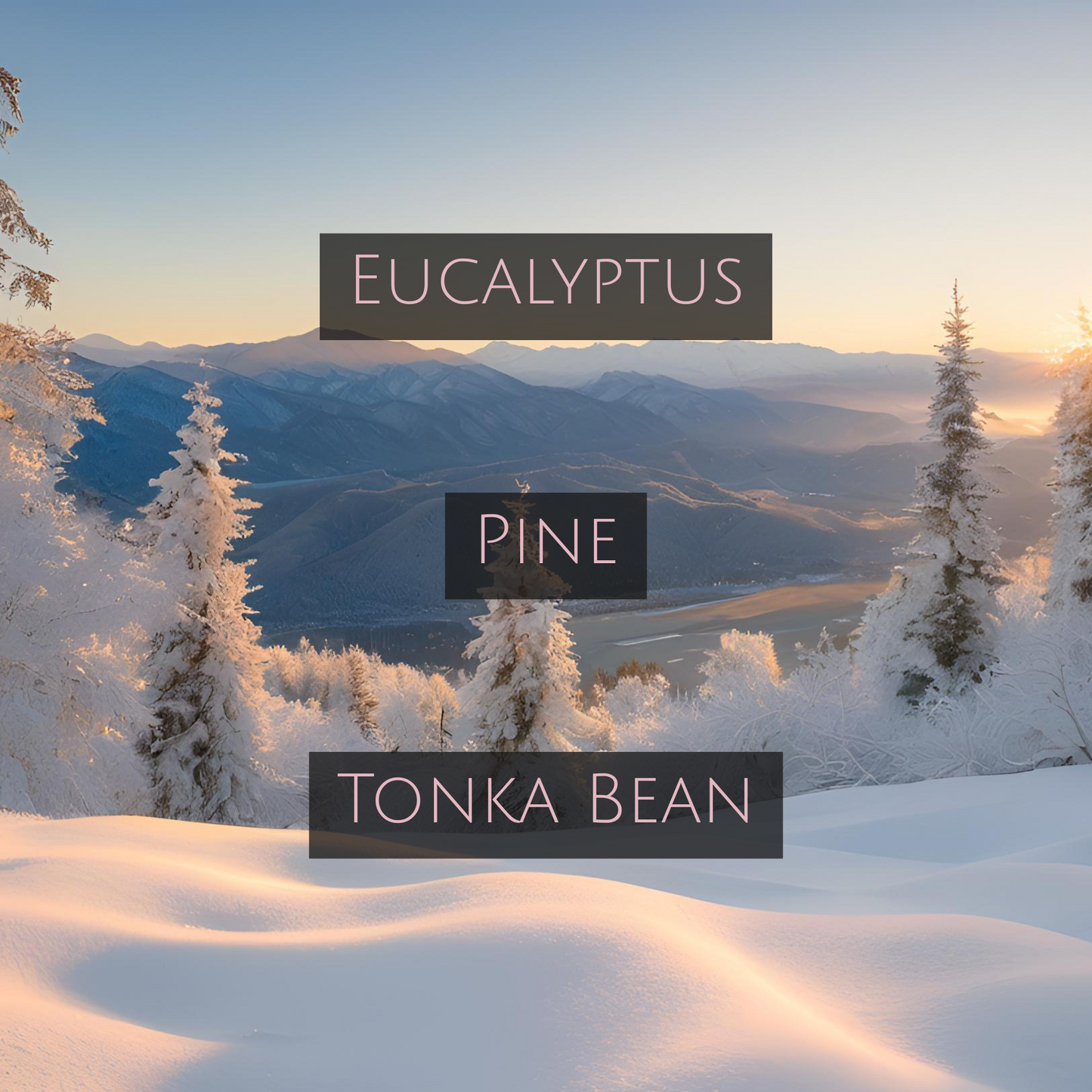 WINTER WONDERLAND (Rose-Gold Tin)