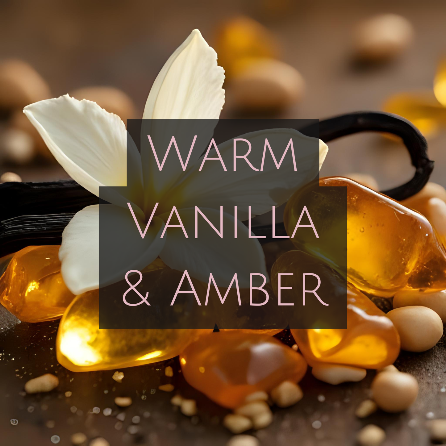 WARM VANILLA & AMBER (Glass Jar)
