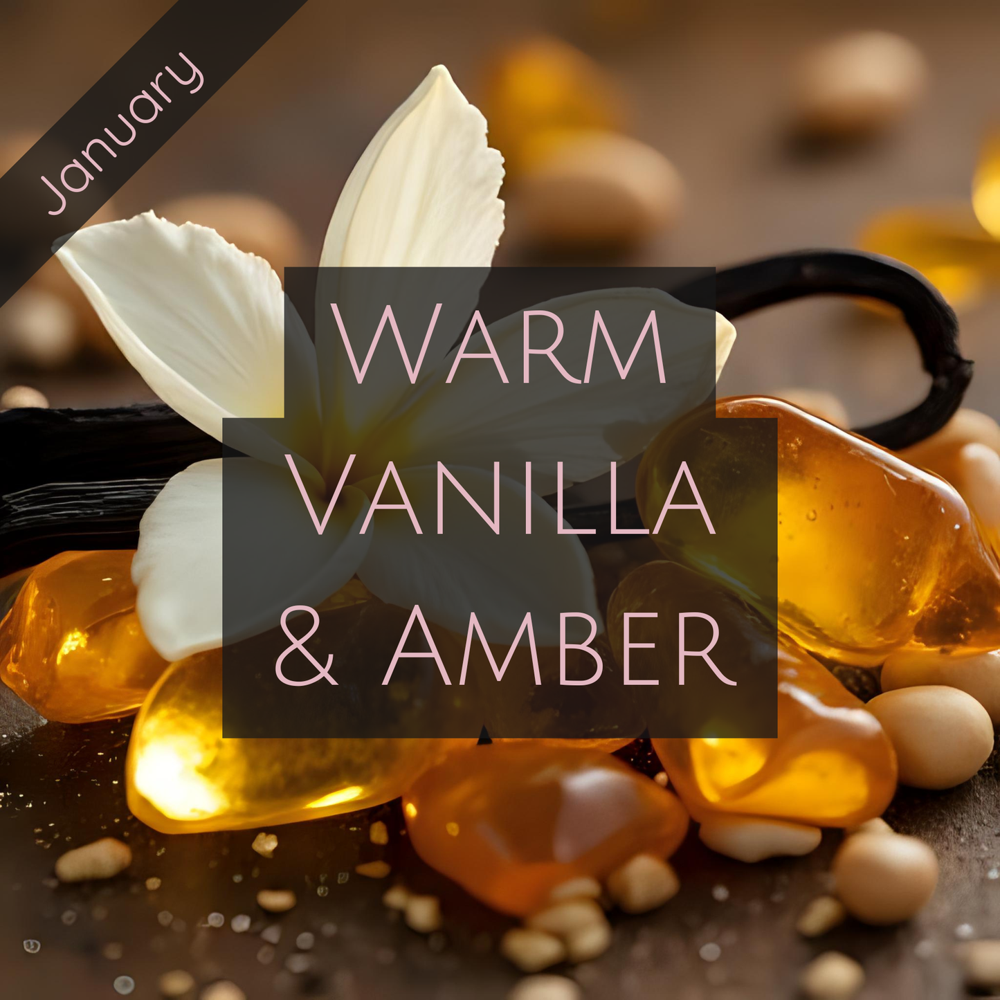 WARM VANILLA & AMBER (Glass Jar)