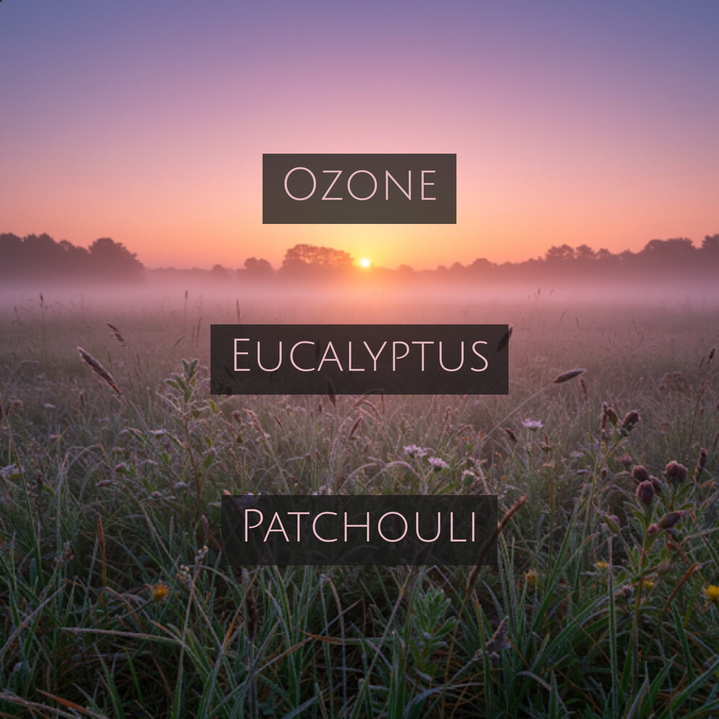 BALTIC DEW (Bronze Tin)